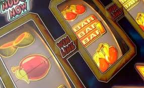 AVOCADO CASINO